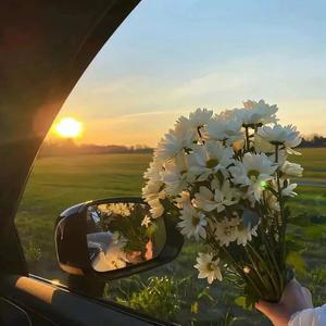 子凡子凡Zf头像