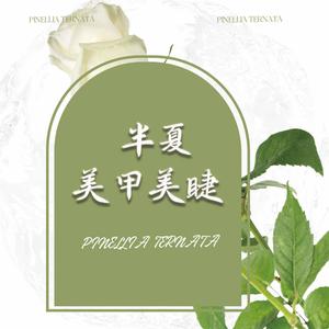 半夏美甲美睫（新亚国际店）头像