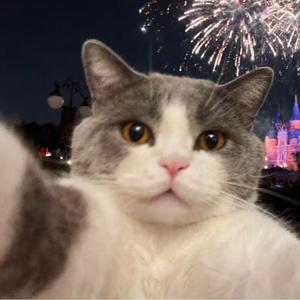 HI-FUN PRO福利官头像