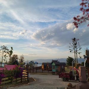 西昌滨海乐园宠粉号头像