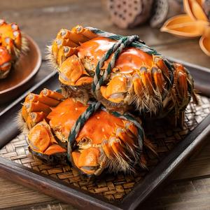 阳澄湖大闸蟹_繁花之境头像