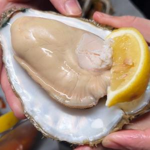 牛巷生蚝海鲜烧烤头像