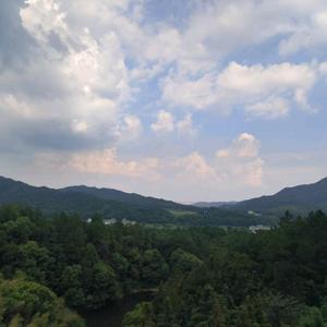 聚正堂-王老师头像