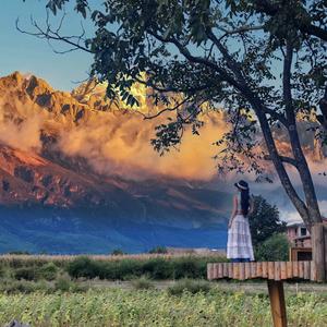 屋顶雪山•白沙树屋麦田牧场头像