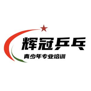 西安辉冠乒乓球俱乐部头像