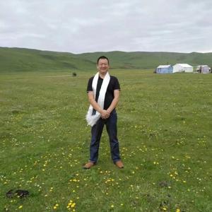 稳迈达稳压器头像