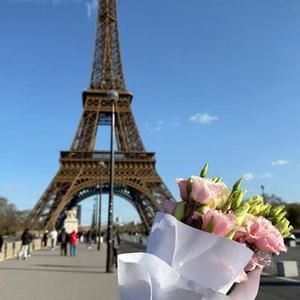 宸寓阿祖三号头像