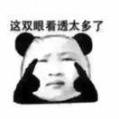 行走的计算机头像