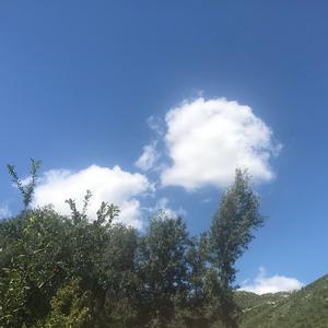 家在远方头像