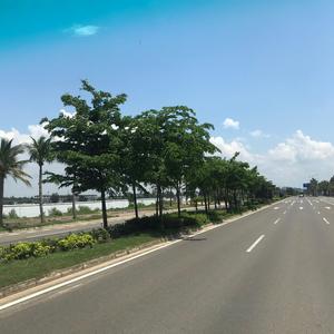 在路上.头像