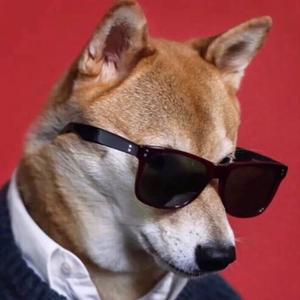 中国古拳法第十八代传人之魔鬼筋肉人头像