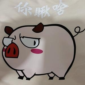你瞅啥猪头头像