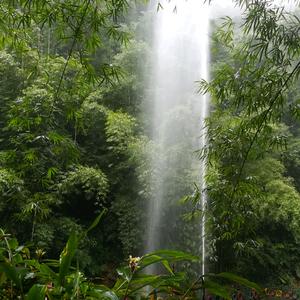 山清水秀頭像