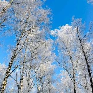 飘雪图片唯美图片头像图片