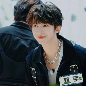 刘宇的鱼丸头像