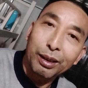 王有平,我忘了感情,忘了爱