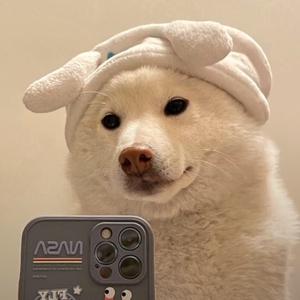 伤心的狗头的主页 - 抖音