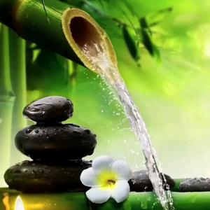 小楼听春雨头像