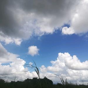 吹着海风唱着歌头像