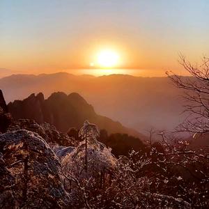 神采飞扬头像