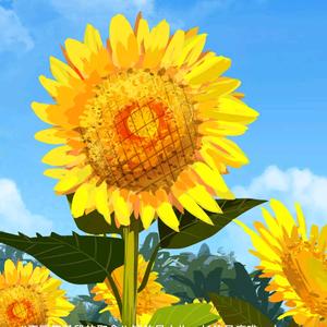 向日葵 的微笑头像