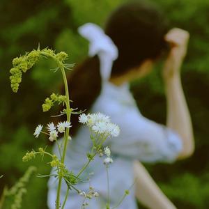 追忆似水年华头像