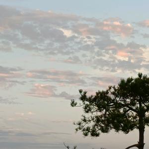 悠悠岁月静好,凡心不可再有头像