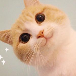 nice)的主页 - 抖音