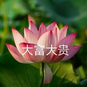 妈妈说只要名字够长只有傻子才会跟着念头像