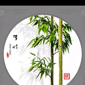 竹子头像图片 简单图片