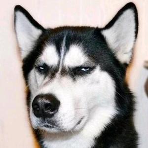 狗头爱玩我的世界的主页 - 抖音