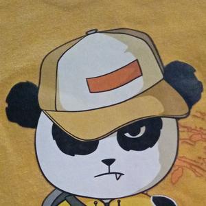 潮流熊猫(反迷你)头像