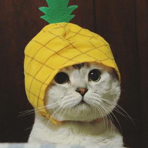 没有感情的菠萝头头像