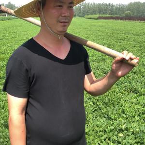 农村刘哥(生活)头像