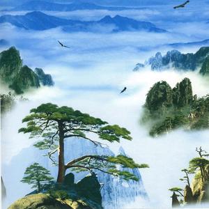 用户9157300855028,一叶小舟头像