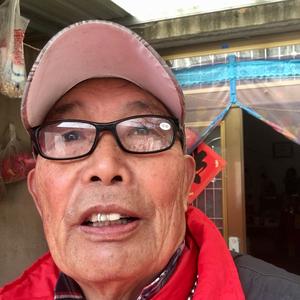 老老实实做人头像