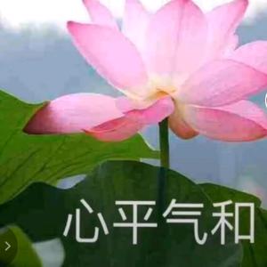 心平气和头像