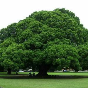 往事放下,余生继续头像