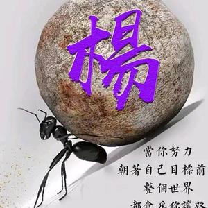 木易头像