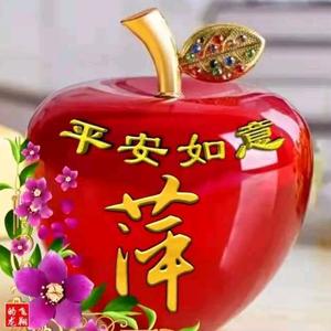 平安果.头像