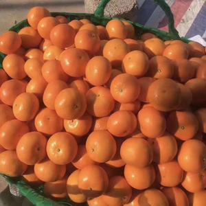 抖音号:  pla631314 广西武鸣壮族人 壮族武术古壮拳学习者传承者