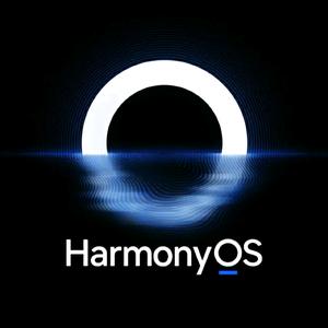 鸿蒙的号头像
