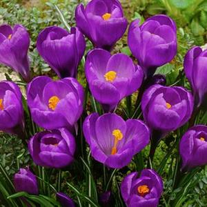 抖音武打视频_武林外传视频片段抖音_武林外传手游抖舞对应歌曲