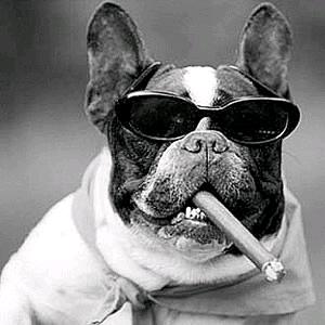 帅气的小马哥头像