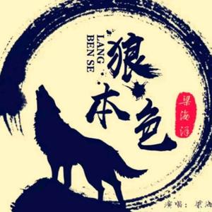 幽狼(拒绝连赞,秒赞谢谢)头像