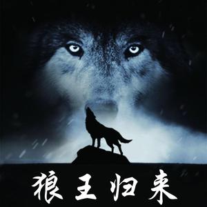 狼少头像