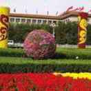 路过才知道头像