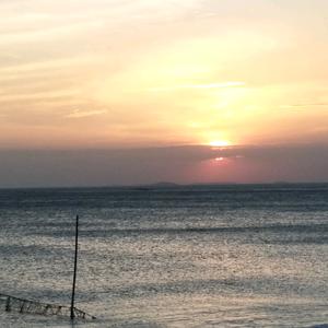 沧海头像