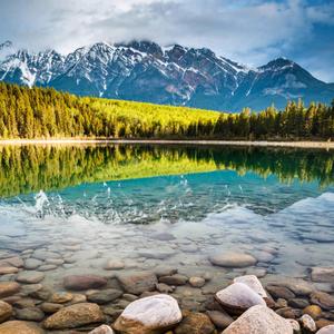 高山流水头像