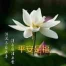 平安是福头像